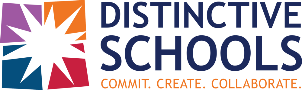 DS logo