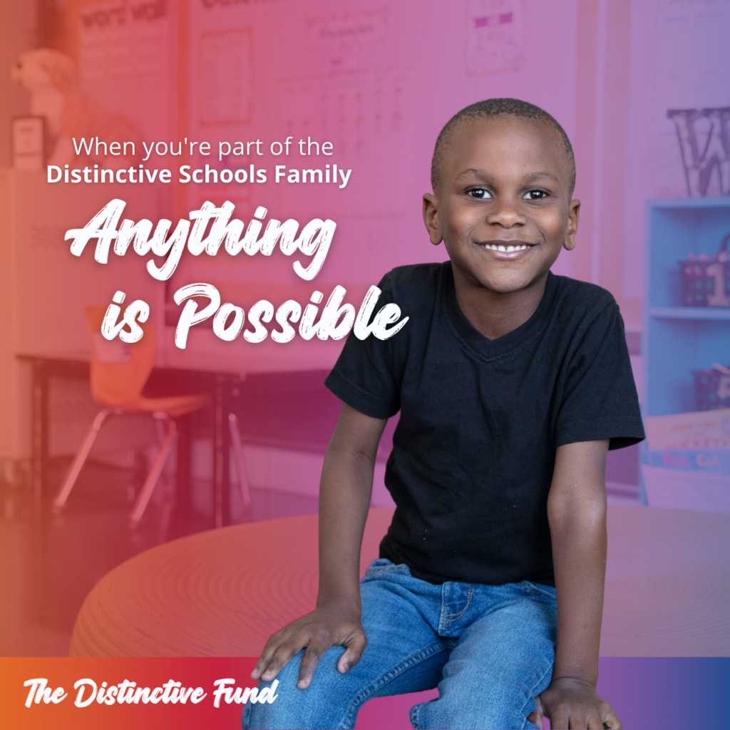 The Distinctive Fund